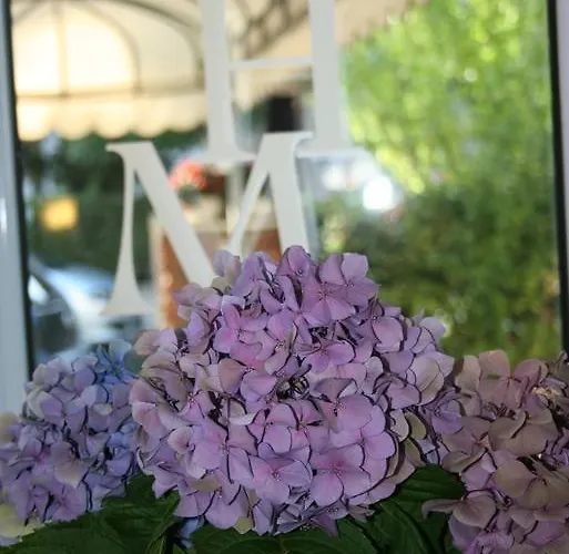 Miramare מלון 3*